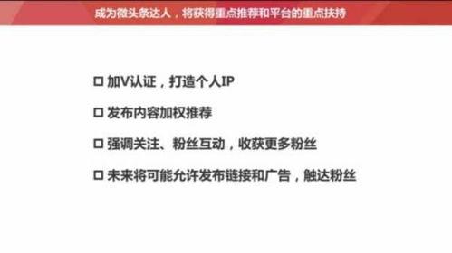 头条刚开始怎么长粉丝,揭秘涨粉秘诀