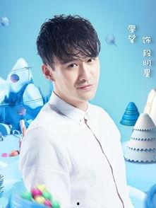 段明星段俊宝,双星闪耀，共绘人生精彩篇章
