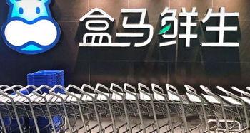 福州盒马生鲜新闻头条,打造智慧零售新体验