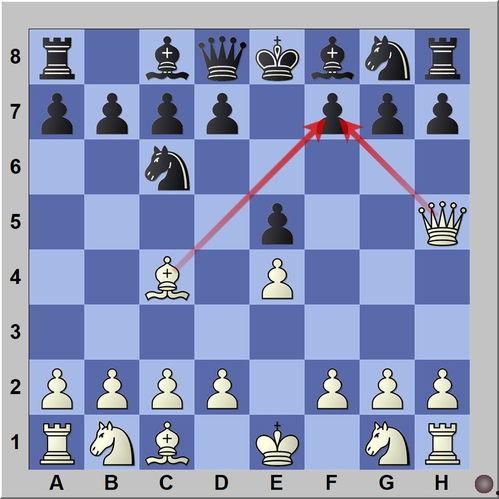 国际象棋头条,最新赛事动态与高手对决精彩回顾