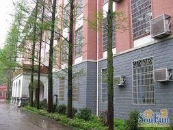 湖南校园爆料图片大全最新,揭秘校园生活那些事儿