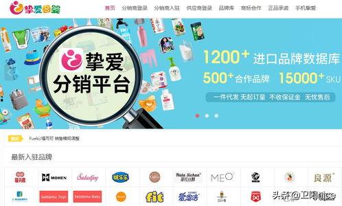 头条小店货源怎么做,揭秘高效选品与供应链策略