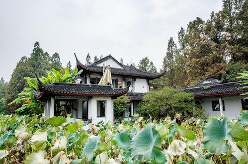 杭州网红景点免费开放,畅游西湖美景无门槛体验