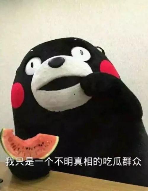 吃瓜群众小黑狗,揭秘娱乐圈幕后故事