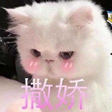 明星撒娇的表情包图片,撒娇表情包萌动人心