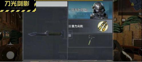 战情爆料高手是谁啊视频,揭秘神秘视频背后的神秘人物